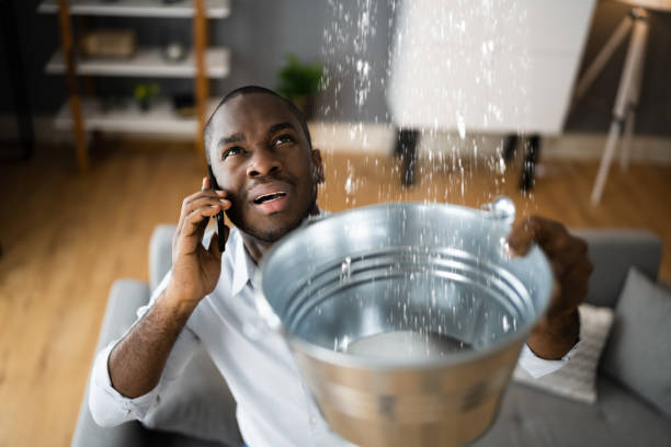 Best Professional water damage repair  in Hawthorne, FL