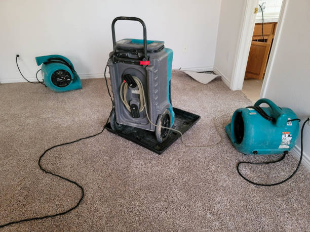 Best Flood restoration services  in Hawthorne, FL