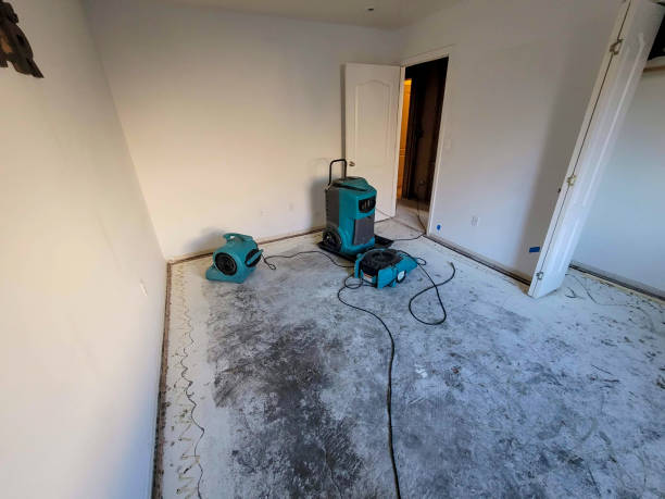 Best Water damage restoration mold remediation  in Hawthorne, FL