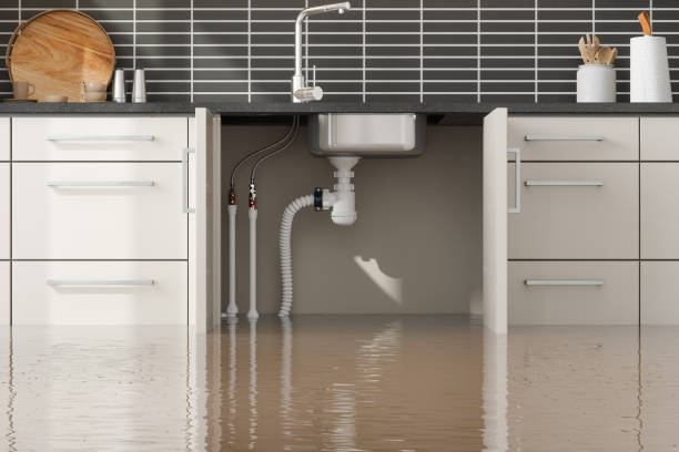 Best Basement water damage restoration  in Hawthorne, FL