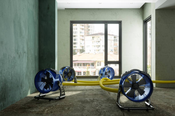 Best Sewage cleanup and water damage restoration  in Hawthorne, FL